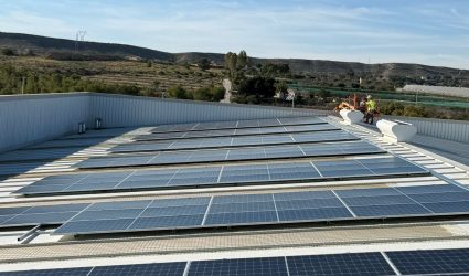 Scalevante autoconsumo