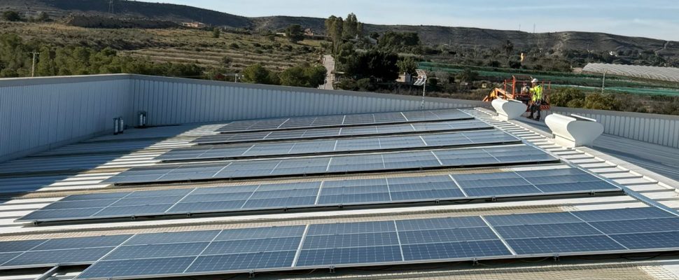 Scalevante autoconsumo